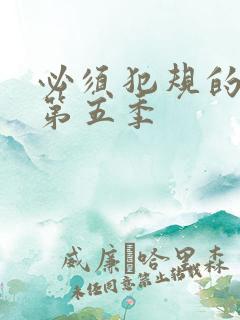 必须犯规的游戏第五季