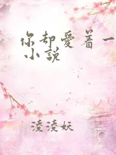 你却爱着一个他 小说