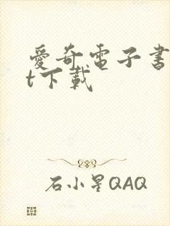 爱奇电子书txt下载