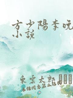 方少阳李晚晴的小说