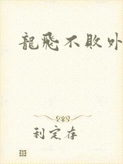龙飞不败外传