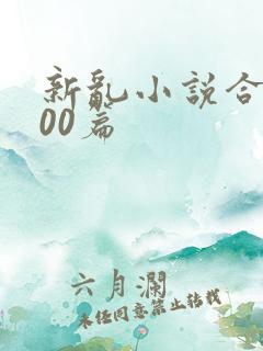 新乱小说合集200篇