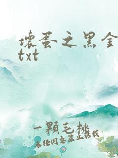 坏蛋之黑金帝国txt