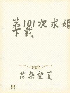 第101次求婚下载