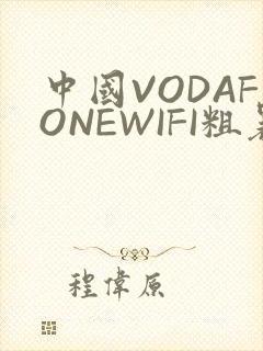 中国VODAFONEWIFI粗暴APP
