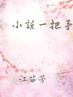 小说一把手