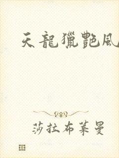 天龙猎艳风流