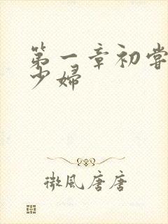 第一章初尝云雨少妇