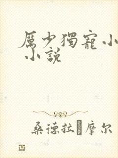 厉少独宠小娇妻 小说