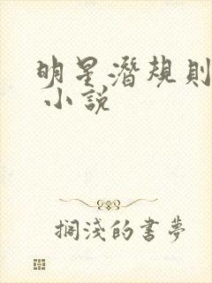 明星潜规则之皇 小说