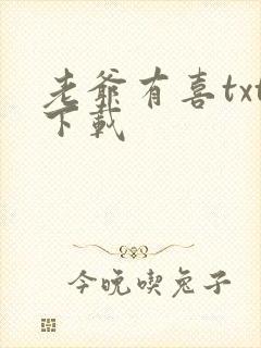 老爷有喜txt下载