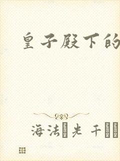 皇子殿下的傲妃