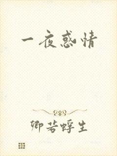 一夜惑情
