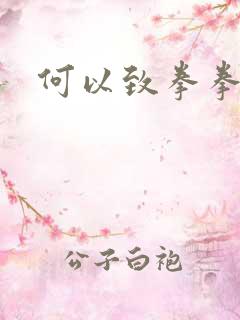 何以致拳拳番外