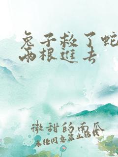 兔子救了蛇被蛇两根进去