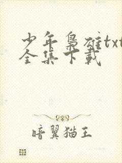少年枭雄txt全集下载
