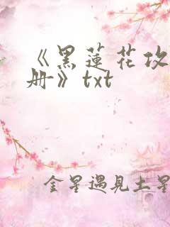 《黑莲花攻略手册》txt