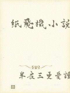 纸飞机小说