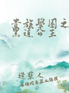 贵族学园之我的黑道公主