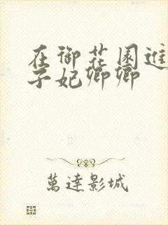 在御花园进入太子妃卿卿