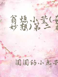 翁熄小莹(奇思妙想)第二篇