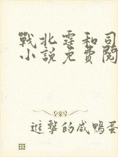 战北霆和司情的小说免费阅读