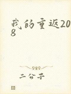 我的重返2008