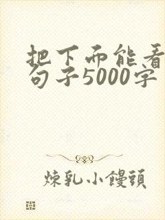 把下面能看湿的句子5000字