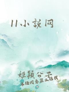 11小说网