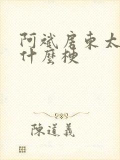 阿斌房东太太是什么梗