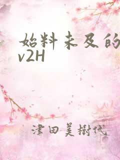 始料未及的软1v2H