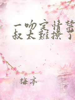 一吻定情禁欲小叔太难撩了