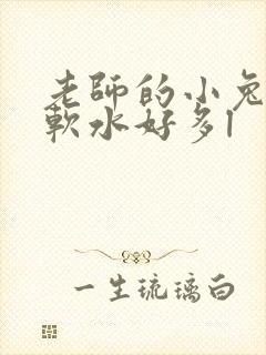 老师的小兔子好软水好多l