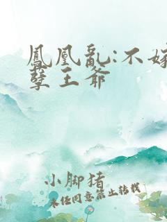 凤凰乱:不嫁妖孽王爷