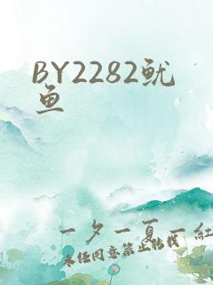 BY2282鱿鱼