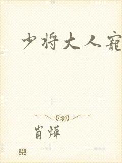 少将大人宠宠我