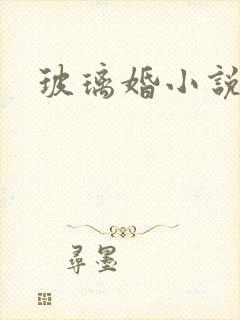 玻璃婚小说
