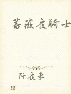 蔷薇夜骑士