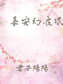 长安幻夜眠狼