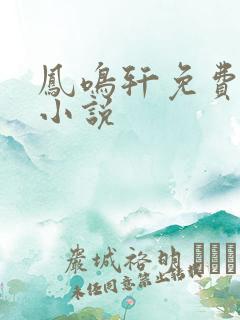 凤鸣轩免费言情小说