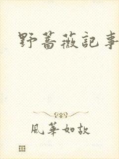 野蔷薇记事薄