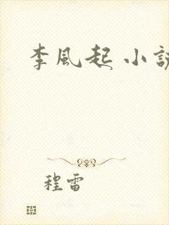 李风起 小说