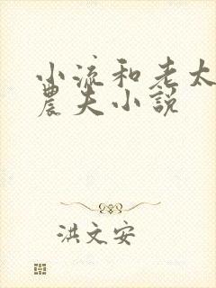 小流和老太69农夫小说