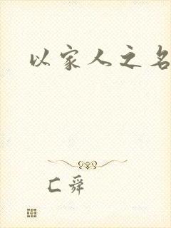 以家人之名原著
