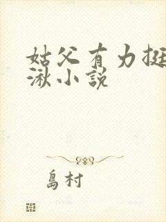 姑父有力挺送徐湫小说