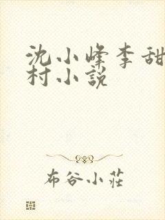 沈小峰李甜的乡村小说