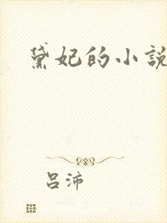 黛妃的小说全文