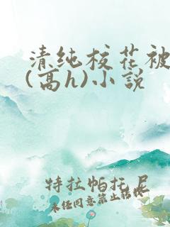 清纯校花被调教(高h)小说