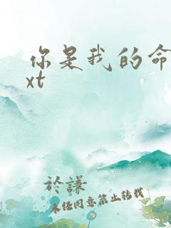 你是我的命运txt