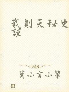 武则天秘史 小说